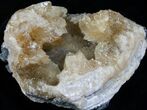 Large Crystal Filled Fossil Clam - Rucks Pit, FL #5782-4